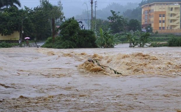 Thanh Hoa strives to be more disaster resilient this rainy season ảnh 1