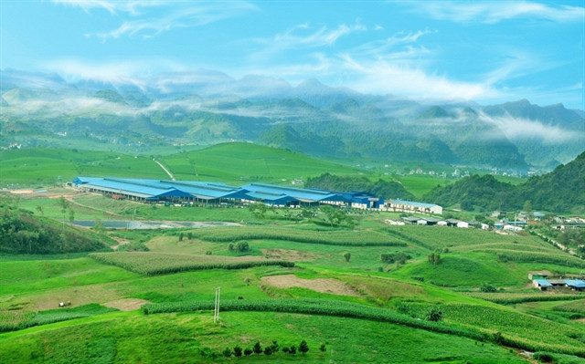 Moc Chau Milk to sell shares, raise capital ảnh 1