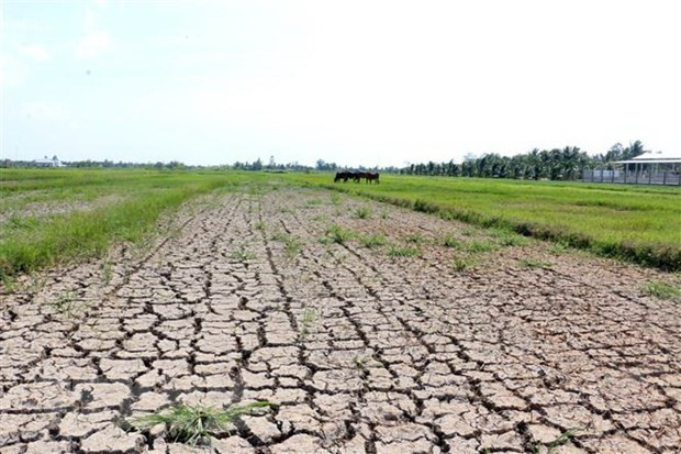 Plan aims to improve Vietnam’s adaptation to climate change ảnh 1