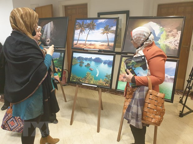 Vietnam Cultural Day hosted in Cairo ảnh 1 Vietnam Cultural Day hosted in Cairo ảnh 1