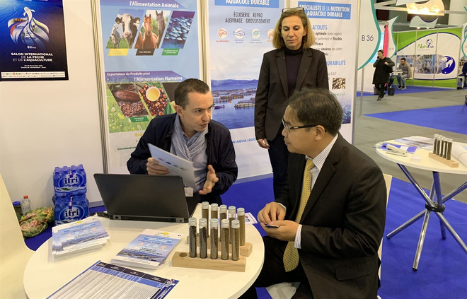 Vietnam – Algeria – Senegal matchmaking seminar to take place next month ảnh 1 Vietnam – Algeria – Senegal matchmaking seminar to take place next month ảnh 1