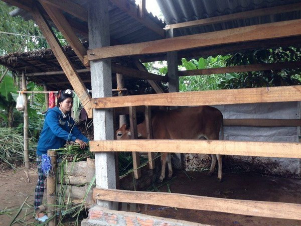 Vietnam shares experiences in poverty reduction at UNGA 73 ảnh 1 Vietnam shares experiences in poverty reduction at UNGA 73 ảnh 1
