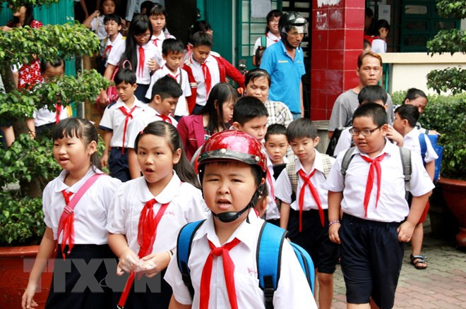 Vietnam makes progress in human development: UNDP official ảnh 1