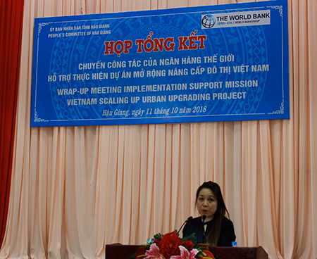 Project helps improve urban planning in Mekong cities ảnh 1