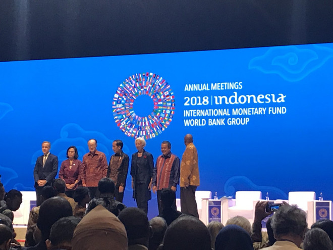 IMF, WB launch Bali Fintech Agenda ảnh 1