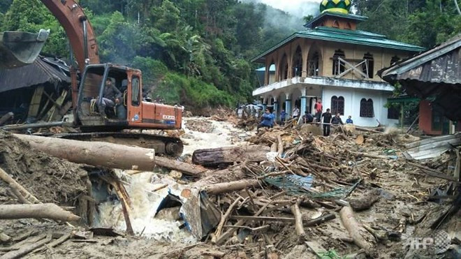 Indonesia records surge in number of deaths in landslides ảnh 1