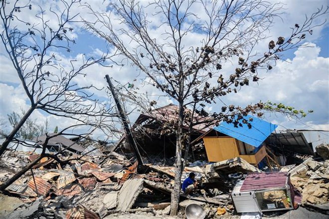 Indonesia to build new city following disasters ảnh 1 Indonesia to build new city following disasters ảnh 1