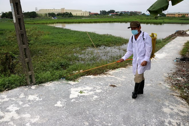 Over 760 billion VND for bird flu control during 2019-2025 ảnh 1 Over 760 billion VND for bird flu control during 2019-2025 ảnh 1
