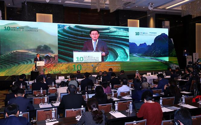 World’s most premier rice conference opens in Hanoi ảnh 1