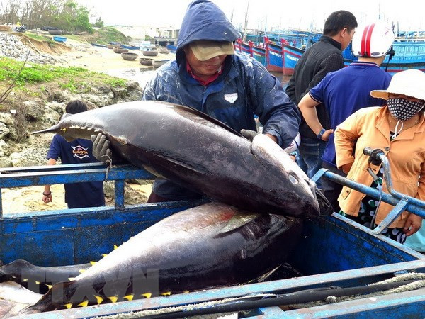 Vietnam’s exporters advised to expand tuna exports to Middle East ảnh 1