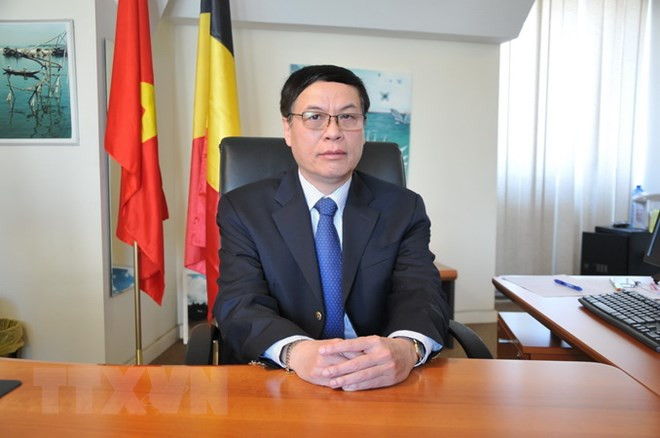 Vietnam boosts cooperative ties with Belgium, EU: diplomat ảnh 1