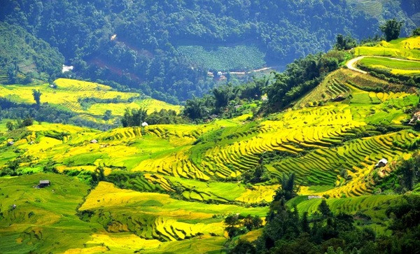 Ngai Thau Thuong – highest village in Vietnam ảnh 1