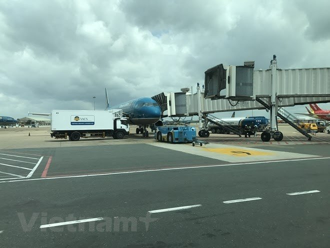 Hanoi agrees to resumption of air routes to Da Nang, HCM City ảnh 1