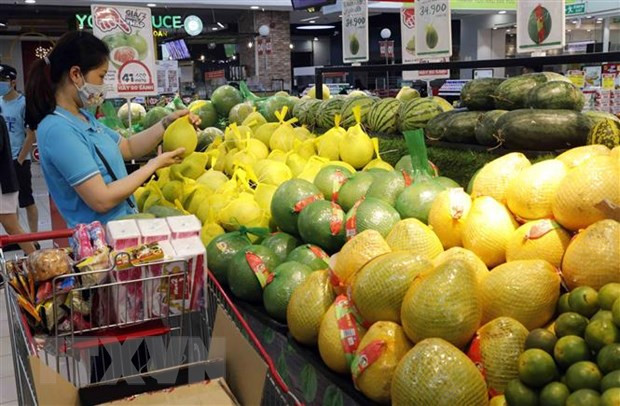 WB lowers Vietnam’s GDP growth forecast to 2-2.5 percent this year ảnh 1