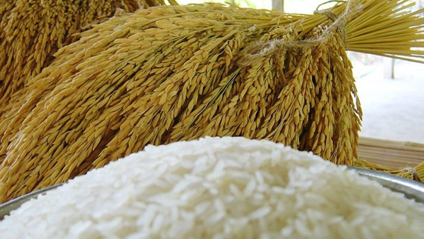 Thailand eyes exports of 6 million tonnes of rice in 2021 ảnh 1 Thailand eyes exports of 6 million tonnes of rice in 2021 ảnh 1