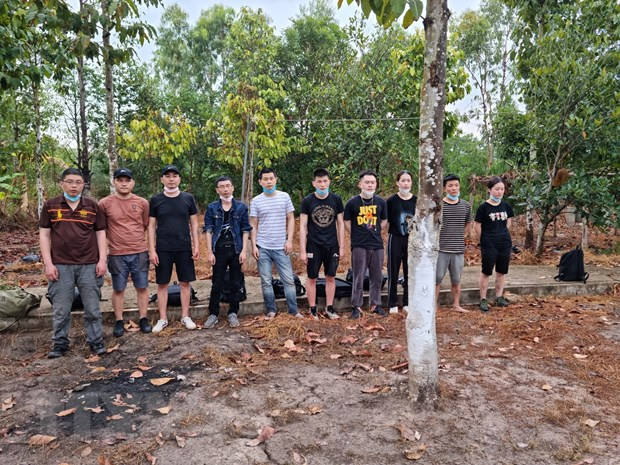 Long An: 12 foreigners detained for illegally entering Vietnam ảnh 1