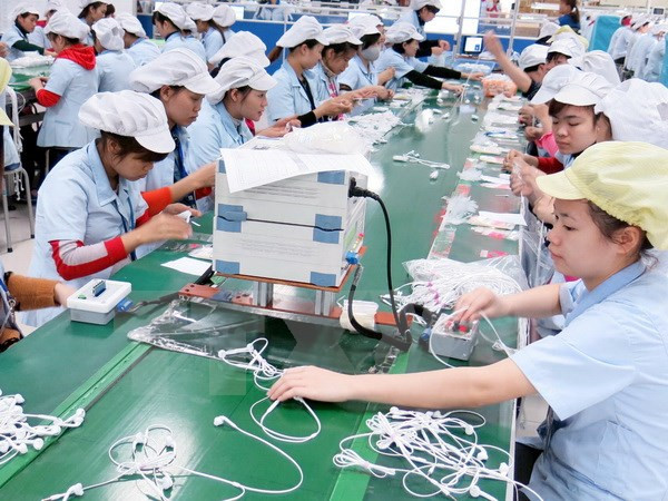 Vietnam-RoK free trade agreement becomes effective ảnh 1