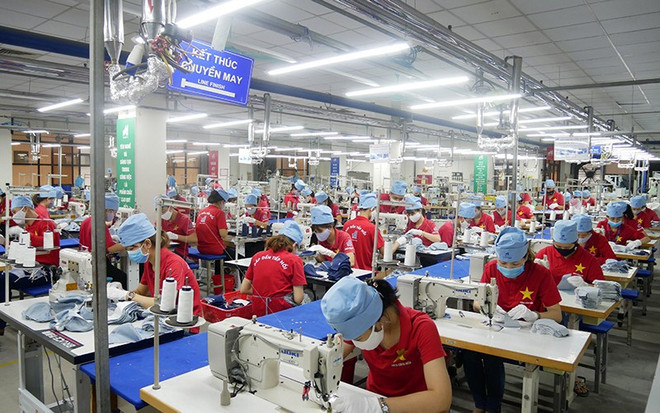 Garment & textile sector tries to keep growth momentum ảnh 1