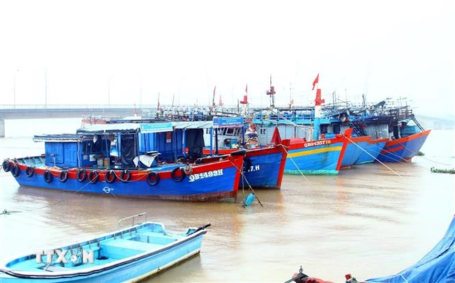 Party Central Committee's Secretariat demands enhancing IUU fishing combat ảnh 1