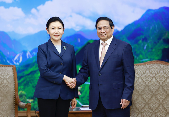 PM urges stronger cooperation between Vietnamese, Chinese Ministries of Justice ảnh 1