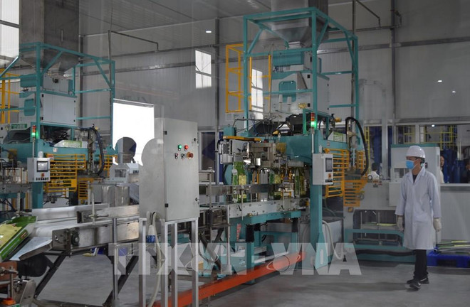 Businesses bullish on Q2 outlook: GSO ảnh 1 Businesses bullish on Q2 outlook: GSO ảnh 1