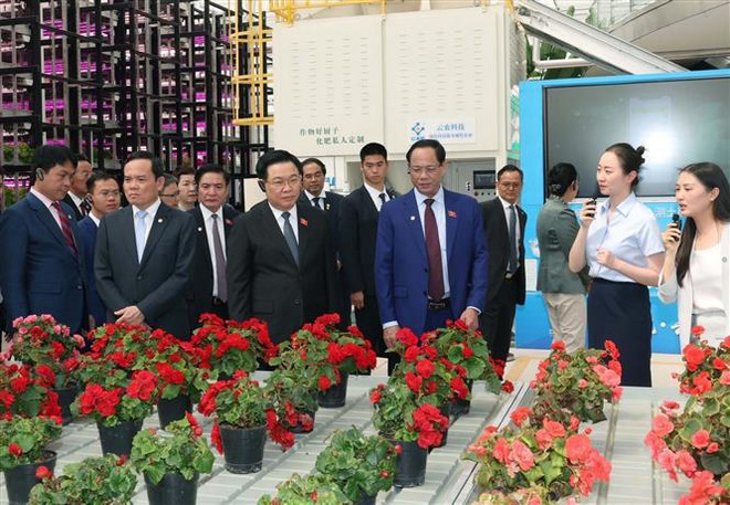 NA Chairman visits outstanding economic models in Yunnan ảnh 1 NA Chairman visits outstanding economic models in Yunnan ảnh 1