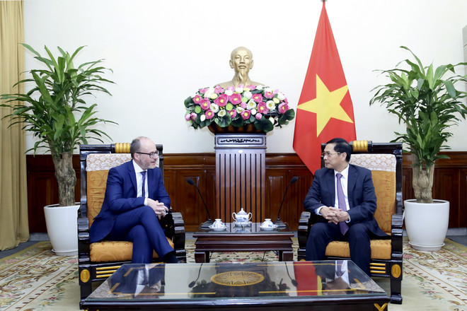 Foreign Minister welcomes Spanish State Secretary for foreign affairs ảnh 1