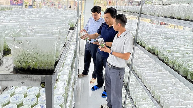 Businesses speed up green, digital transformation for breakthrough ảnh 1