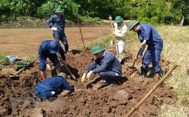 Agreement signed to improve capacity of identifying human remains from war ảnh 1