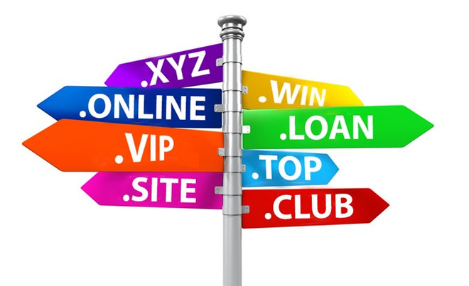 Global domain names come to Vietnam ảnh 1