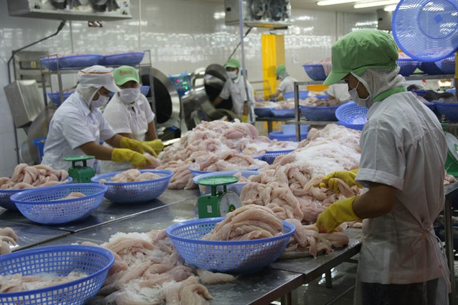 Mekong Delta urged to apply hi-tech in fish farming ảnh 1