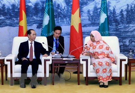 Vietnam treasures ties with African nations: President ảnh 1 Vietnam treasures ties with African nations: President ảnh 1