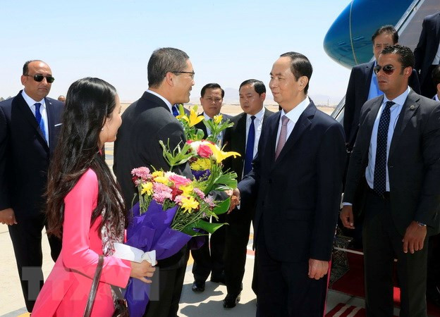 President Tran Dai Quang begins State visit to Egypt ảnh 1 President Tran Dai Quang begins State visit to Egypt ảnh 1