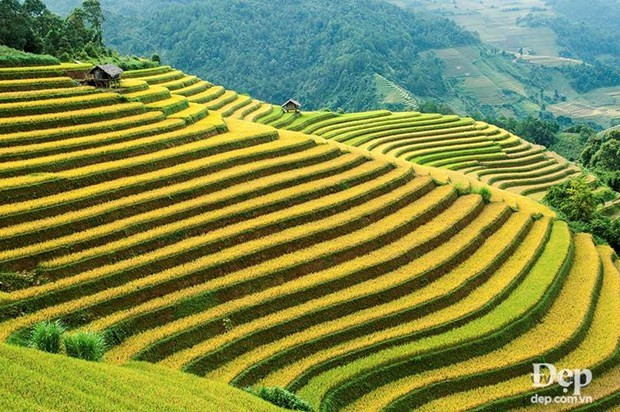 Must-visit spots in Mu Cang Chai ảnh 4