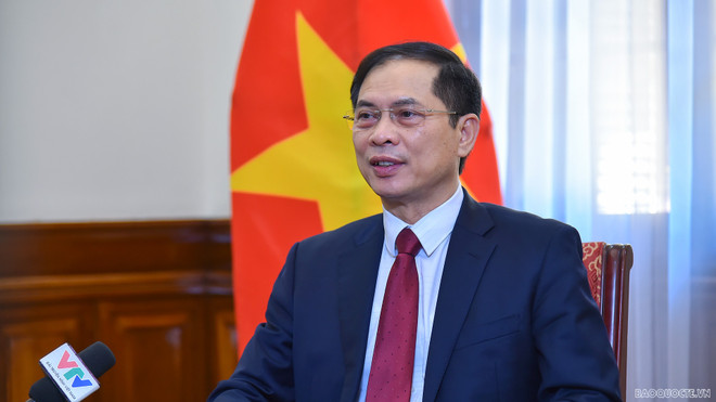 Minister hails significance of Conclusion on OV affairs ảnh 1