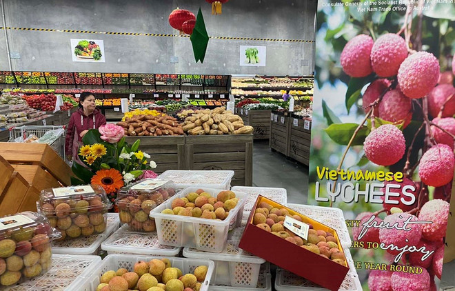 Vietnam’s farm produce exports to Australia surge ảnh 1 Vietnam’s farm produce exports to Australia surge ảnh 1