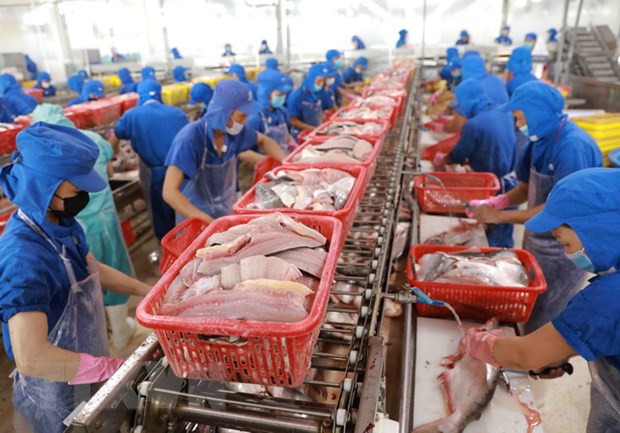 Aquatic product exports drop strongly in first half of August ảnh 1 Aquatic product exports drop strongly in first half of August ảnh 1