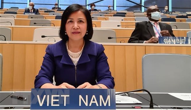 Vietnam urges Thailand to enhance transparency in regulations on border trade ảnh 1 Vietnam urges Thailand to enhance transparency in regulations on border trade ảnh 1