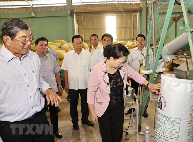 Top legislator visits Soc Trang province ảnh 1 Top legislator visits Soc Trang province ảnh 1