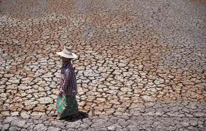 Building resilience to drought in Southeast Asia ảnh 1