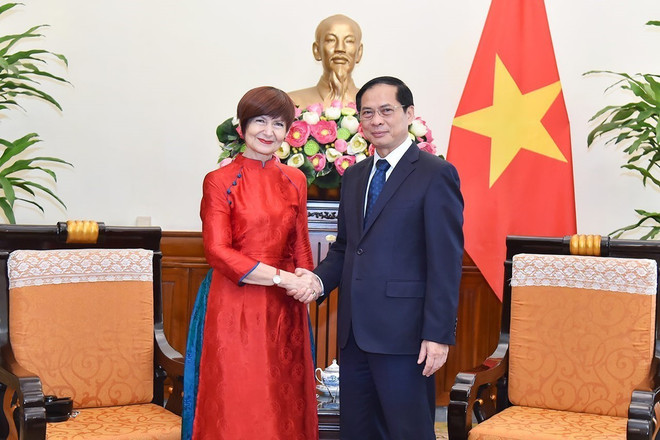Vietnam treasures role of UNESCO: Foreign Minister ảnh 1