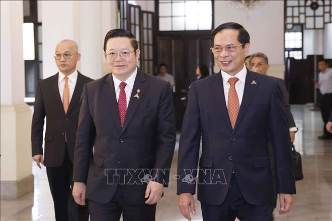 Vietnam, Brunei agree to deepen bilateral cooperation ảnh 2 Vietnam, Brunei agree to deepen bilateral cooperation ảnh 2