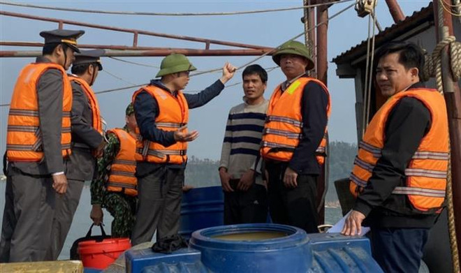 Government’s action programme cracks down on illegal fishing ảnh 1 Government’s action programme cracks down on illegal fishing ảnh 1