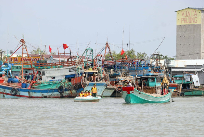 Government’s action programme cracks down on illegal fishing ảnh 2 Government’s action programme cracks down on illegal fishing ảnh 2