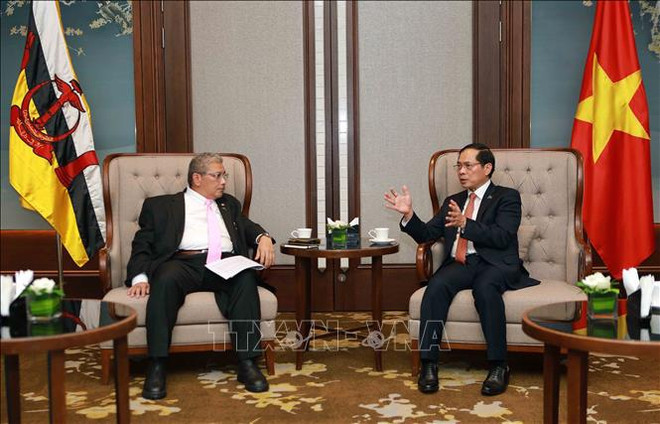 Vietnam, Brunei agree to deepen bilateral cooperation ảnh 1 Vietnam, Brunei agree to deepen bilateral cooperation ảnh 1