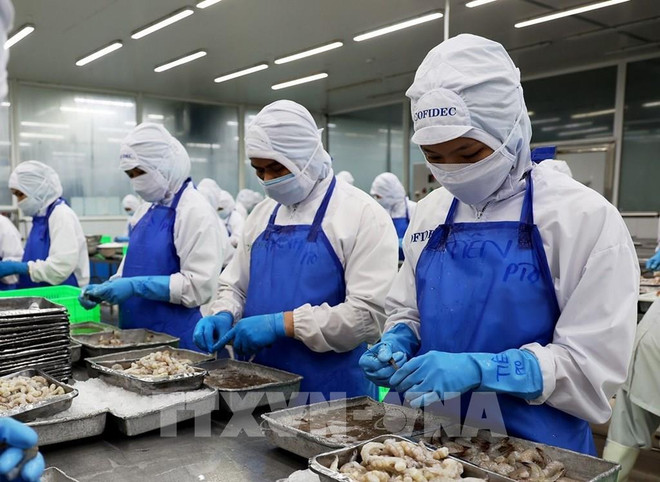 Vietnam ranks fifth among aquatic product suppliers for Singapore ảnh 1 Vietnam ranks fifth among aquatic product suppliers for Singapore ảnh 1