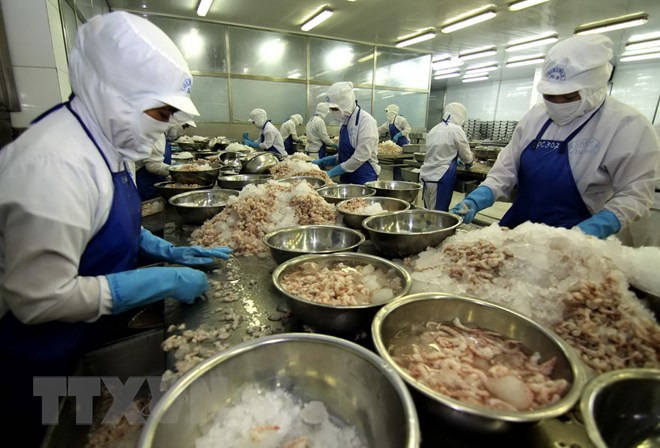 Bac Lieu looks toward 1 billion USD in shrimp export earnings ảnh 1