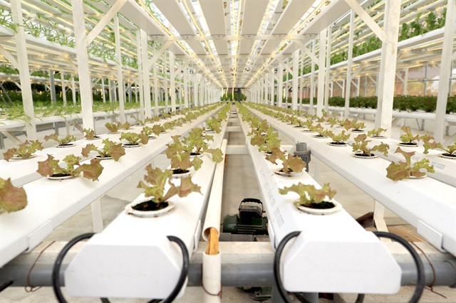 Hanoi aims to develop smart agriculture ảnh 1 Hanoi aims to develop smart agriculture ảnh 1