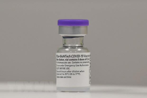 France aids Vietnam with some 1.4 million doses of COVID-19 vaccine ảnh 1