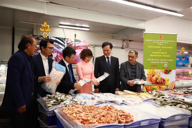 Vietnam seeks to beef up trade, investment ties with Australia ảnh 1 Vietnam seeks to beef up trade, investment ties with Australia ảnh 1